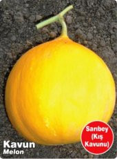 ATA TOHUMU YERLİ KAVUN SARIBEY 100 ADET TOHUM - 1