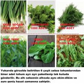 KARIŞIK YEŞİLLİK SEBZE SETİ TOHUMLARI 6 ÇEŞİT SEBZE BİNER ADET thumbnail 1