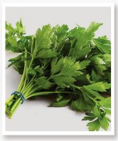 KARIŞIK YEŞİLLİK SEBZE SETİ TOHUMLARI 6 ÇEŞİT SEBZE BİNER ADET thumbnail 3