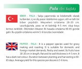 ATA TOHUMU YÖRESEL PALA YAĞLIK TATLI KÖZ BİBER 500 ADET TOHUM - 2