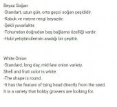 YERLİ DOĞAL BEYAZ SOĞAN 200 ADET TOHUM - 2