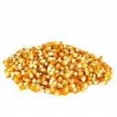 PATLAK MISIR POPCORN CİN MISIR TOHUMU 50 ADET TOHUM - 2