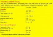 PATLAK MISIR POPCORN CİN MISIR TOHUMU 50 ADET TOHUM - 3