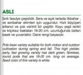 ATA TOHUMU YERLİ SIRIK FASULYE 50 ADET TOHUM - 2