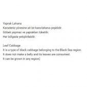 ATA TOHUMU YÖRESEL KARA LAHANA (Karadeniz Lahanası, Yaprak Lahana) 500 ADET TOHUM - 2