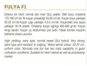 FULYA F1 HİBRİT TATLI MISIR TOHUMU 10 GR (BARDAKTA MISIR TOHUMU) - 2