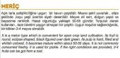 ATA TOHUMU YERLİ DOĞAL KARA KAVUN MERİÇ 100 ADET TOHUM - 2