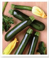 ATA TOHUMU YERLİ DOĞAL KABAK TOHUMU KARAGÜL 20 ADET TOHUM thumbnail 1