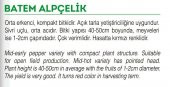 ATA TOHUMU YERLİ DOĞAL BADEM BİBERİ 1000 ADET TOHUM - 2