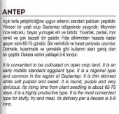 ATA TOHUMU YÖRESEL DOĞAL TOPAK PATLICAN ANTEP 1000 AD TOHUM - 2