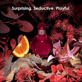 Britney Spears Hidden Fantasy EDP 100 ml Kadın Parfümü thumbnail 4