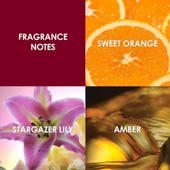 Britney Spears Hidden Fantasy EDP 100 ml Kadın Parfümü thumbnail 5