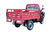 ARORA AR11000 3 TEKER ELEKTRİKLİ TRİCYCLE - 5