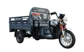ARORA AR11000 3 TEKER ELEKTRİKLİ TRİCYCLE - 1