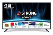 ML43EW4000 43’’ 109cm Ekran Full HD Whale OS Smart TV Dahili Uydu Alıcılı - 1