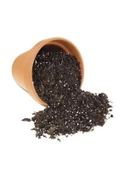 Çingene Eteği Çiçeği Tohumu Ekim Seti 15 Adet Tohum thumbnail 5