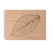 ZİNO DAVİDOFF Z60 LEAF NATURAL OAK HUMİDOR 112388 - 2
