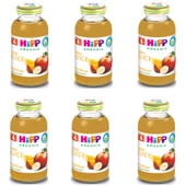 Hipp Organik Karışık Meyve Suyu 200 ml 6 ADET - 1