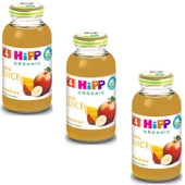 Hipp Organik Karışık Meyve Suyu 200 ml 3 ADET - 1