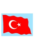 RED CASTLE Türk Bayrağı Kum Boyama Kartı Seti Jumbo 5 Adet(33X47cm)-Red Castle KMB119 - 2