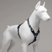 Lindo Dogs Enjoy H Tipi Köpek Göğüs Tasması Renkli Beden Medium - 4