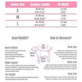 Lindo Dogs Pink Dream Köpek Gezdirme Kayışı Mavi/Pembe Medium - 5