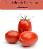 150 Adet Tohum İri Rio Grande Domatesi Tohumu Bol Verimli Domates Sürpriz Hediye Tohum - 2