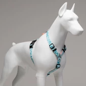 Lindo Dogs Touch H Tipi Köpek Göğüs Tasması Beden Beyaz/Mavi Medium - 4