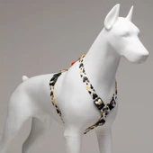 Lindo Dogs Bad Mouse H Tipi Köpek Göğüs Tasması Beden Large - 2