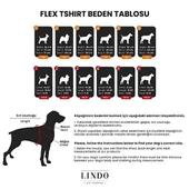 Lindo Dogs Cotton Candy Köpek Kıyafeti Tshirt Pembe Beden 2 - 5