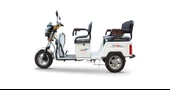 FALCON FAMİLY 8000 -3 TEKERLİ ELEKTRİKLİ TRİCYCLE - 1
