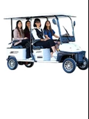 ARORA POLO PLUS 4 TEKER GOLF ARACI - 4