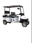 ARORA POLO PLUS 4 TEKER GOLF ARACI - 1