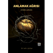 Anlamak Ağrısı - Aydın Uzkan - 1