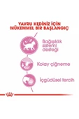 Pouch Kitten Jelly Yavru Kedi Konservesi 85 gr thumbnail 2