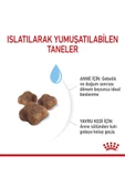 Babycat 34 Yavru Kuru Kedi Maması 2 Kg - 8
