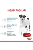 Mini Starter Mother&babydog Küçük Irk Yavru Köpek Maması 4kg - 5