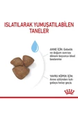 Mini Starter Mother&babydog Küçük Irk Yavru Köpek Maması 4kg - 7