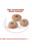 Fit 32 15 Kg Yetişkin Kuru Kedi Maması - 3