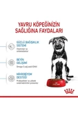 Maxi Puppy Büyük Irk Yavru Köpek Maması 15 Kg thumbnail 6