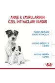 Mini Starter Mother&babydog Küçük Irk Yavru Köpek Maması 4kg - 4
