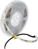 Cata 10 Çip Şerit Led Dış Mekan Beyaz 5 Metre CAT CT-4487 - 3
