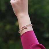 Crtr Çivi Model Zirkon Taşlı Rose Gold Kaplama Gümüş Bileklik thumbnail 3