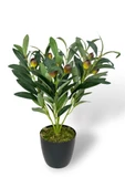Yapay Zeytin Ağacı Saksıda 40cm 5 Dallı 10 Meyveli Yapay Çiçek Artificial Olive - 1