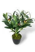 Yapay Zeytin Ağacı Saksıda 40cm 5 Dallı 10 Meyveli Yapay Çiçek Artificial Olive - 6
