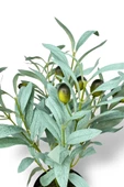 Nettenevime Yapay Zeytin Ağacı Saksıda 40cm 5 Dallı 10 Meyveli Pastel Yapay Çiçek Artificial Olive thumbnail 6