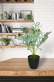 Nettenevime Yapay Zeytin Ağacı Saksıda 40cm 5 Dallı 10 Meyveli Pastel Yapay Çiçek Artificial Olive thumbnail 4
