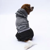 PawStar Siyah New York Tulum - 1