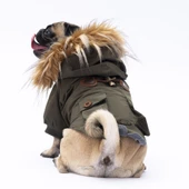 PawStar Haki Charles Yağmurluk Küçük ve Orta Irk thumbnail 1