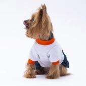 PawStar Gri Santa Rosa Elbise thumbnail 2